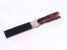 ���25�����┵(sh��)��(j��)���|