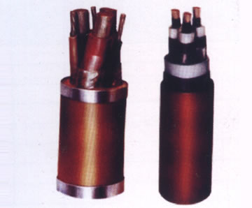 0.3/0.5kv��(j��)�V����@�Դ��MT818-1999��