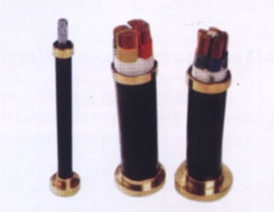 �͟��o(w��)�u��ȼ�����|